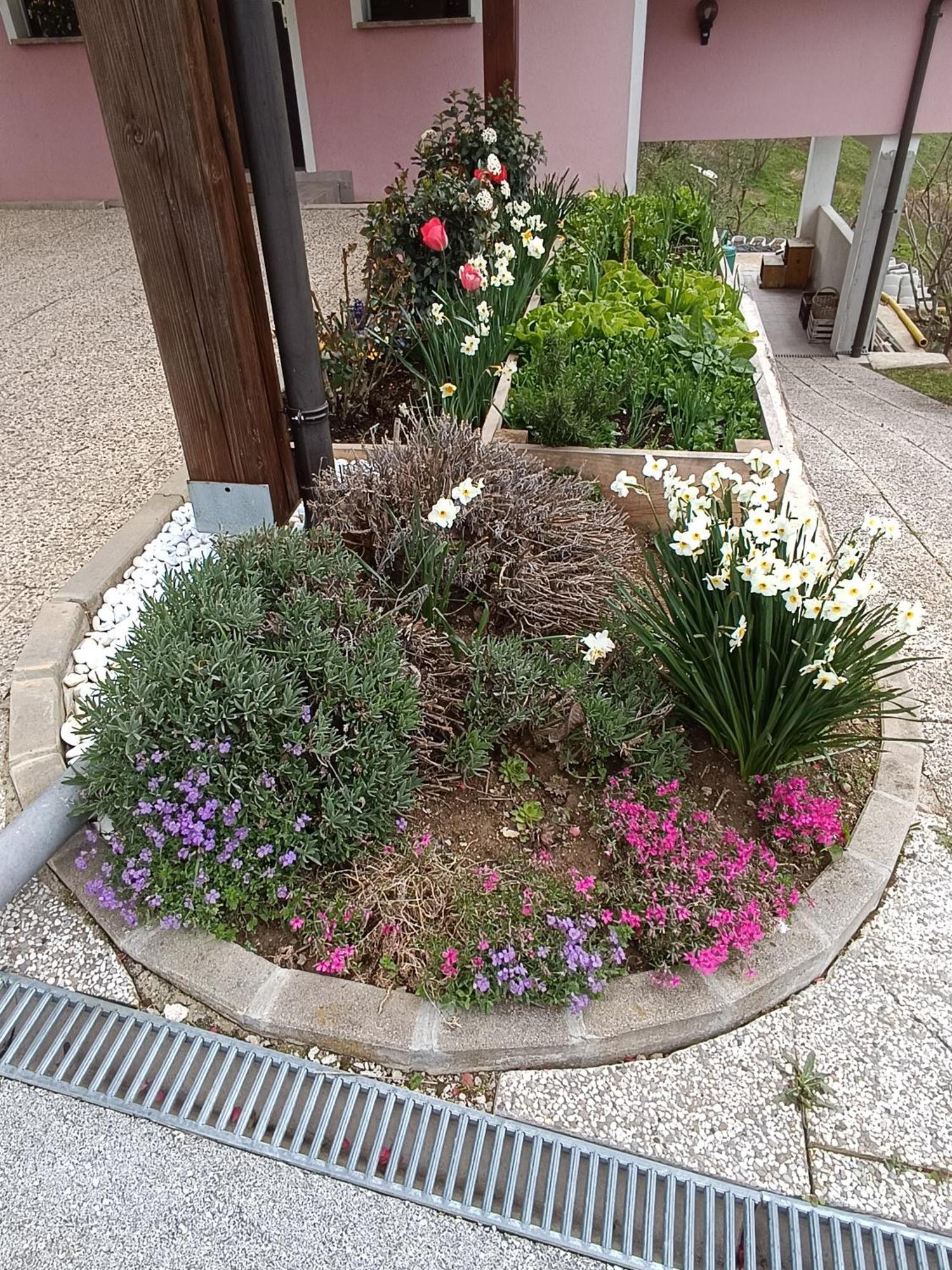 Hiska Na Gorci Lägenhet Podčetrtek Exteriör bild